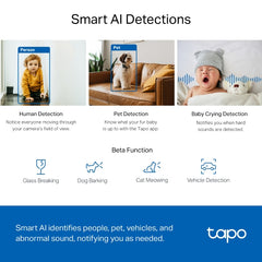 Câmara de Segurança Wi-Fi Inteligente 2K 4MP Pan/Tilt TP-Link Tapo C220 com Inteligência Artificial e Visão Noturna