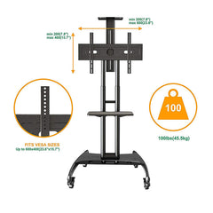 Interativo Screen Stand AVA1500-60-1P