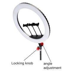 Ring Light Gigante Jmary FM-21R 52cm (21") | Bi-Color (2900-6500K) com Controlo Remoto e Dimerização Contínua