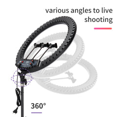 Ring Light Gigante Jmary FM-21R 52cm (21") | Bi-Color (2900-6500K) com Controlo Remoto e Dimerização Contínua
