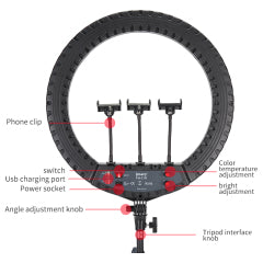 Ring Light Gigante Jmary FM-21R 52cm (21") | Bi-Color (2900-6500K) com Controlo Remoto e Dimerização Contínua
