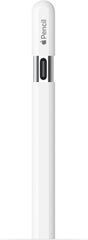 Caneta Stylus Apple Pencil (USB-C) para iPad