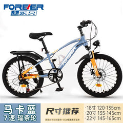 Bicicleta Forever MKL-20"