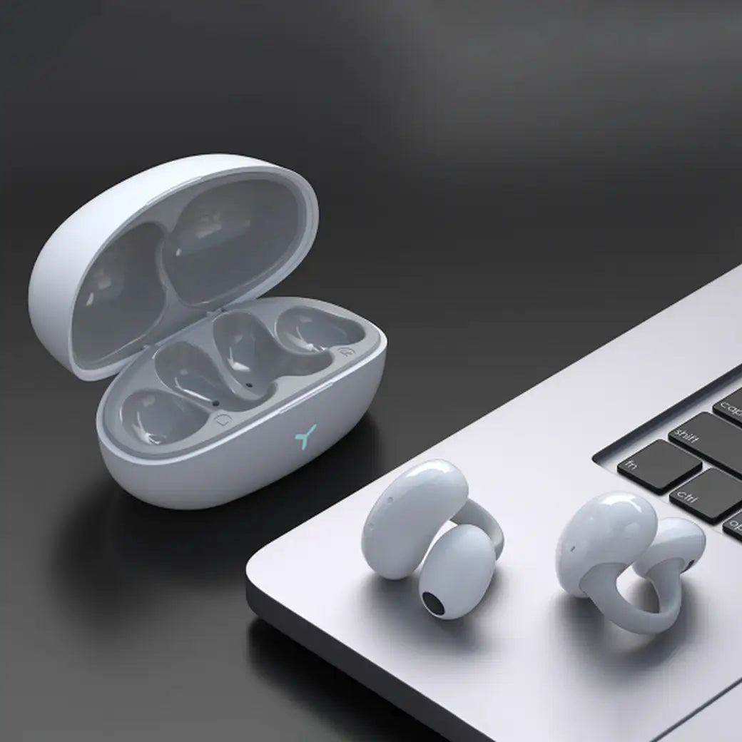 WiWU T17 Wireless Bluetooth Earbuds