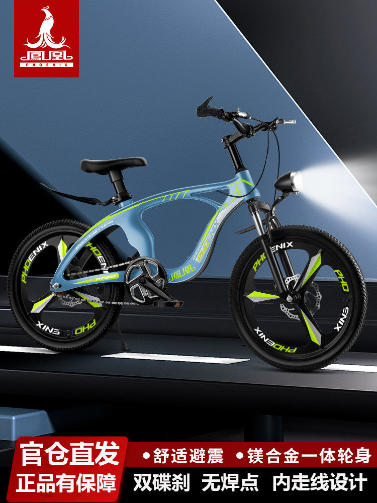 Bicicleta K5 20" – Single Speed – Quadro em Liga de Magnésio