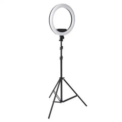 Anel de Luz LED Plokama R45