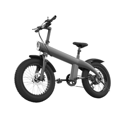 E-bike Off-road Q3