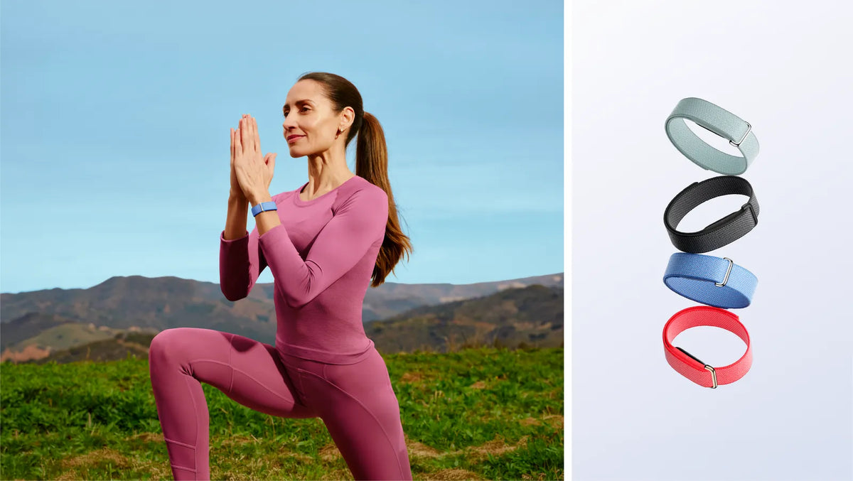 Rastreador de Saúde e Fitness Google Fitbit Air
