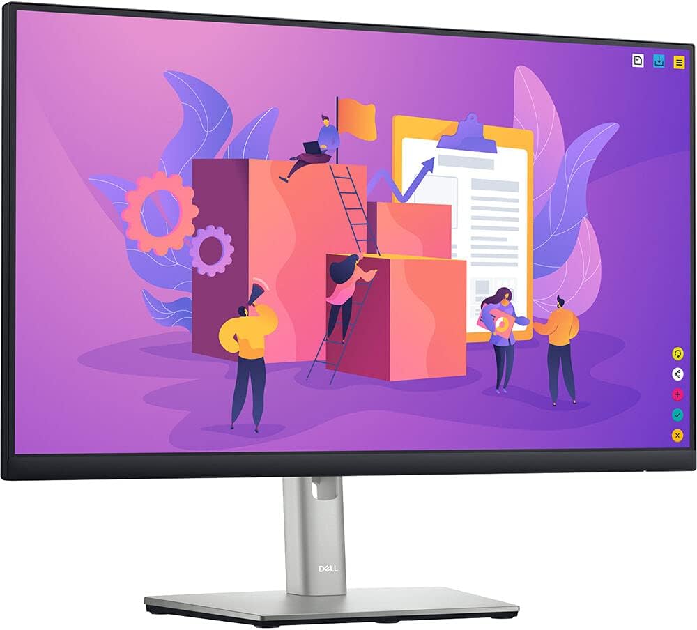 Dell 24 Monitor - P2422H