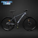 Bicicleta Forever MX-818 26”